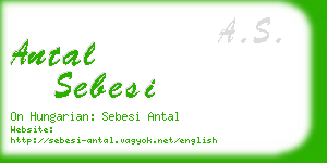 antal sebesi business card